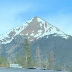 Meet your Posher, Halle